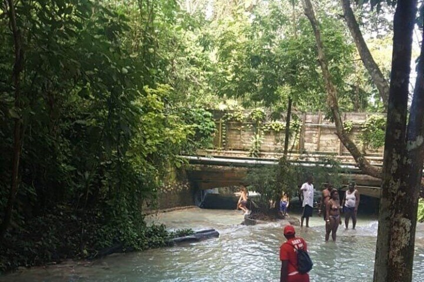 Falmouth to Bob Marley Nine Miles and Dunns River Falls Tour