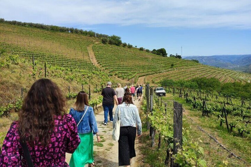 Douro Tour with Wine Tasting and Visit to Lamego and Pinhão