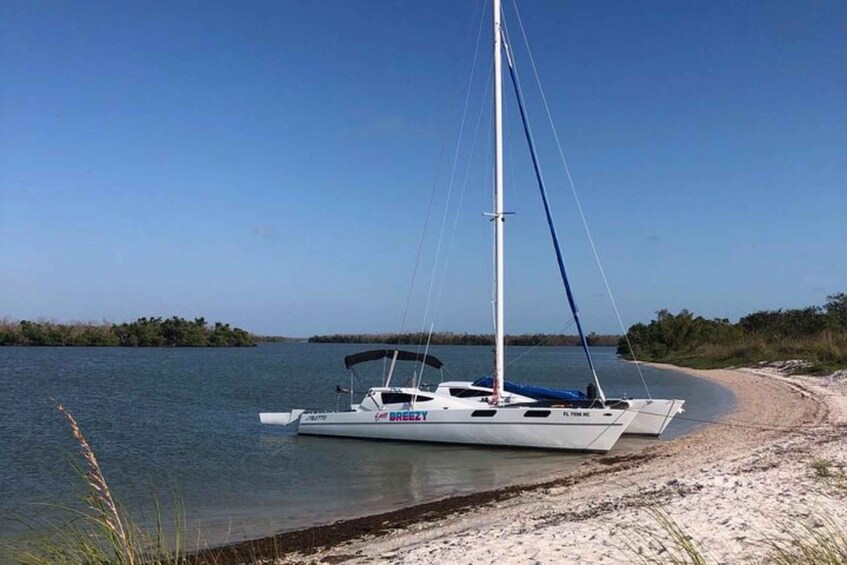 Picture 3 for Activity Private sailing tour through the 10,000 islands