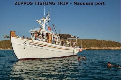Visite semi-privée de pêche sur Kaiki Paros/Naousa ou visite privée au couc...