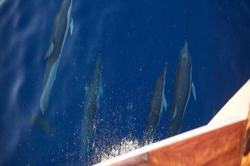 Sea Fishing Tour with Traditional Boat from Naousa Paros