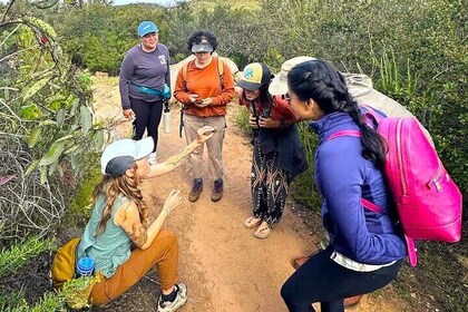 Small Group Hike Through San Diego's Heart and Soul