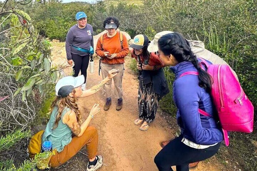 Find local wildlife with an expert guide with a deep knowledge of San Diego's nature.