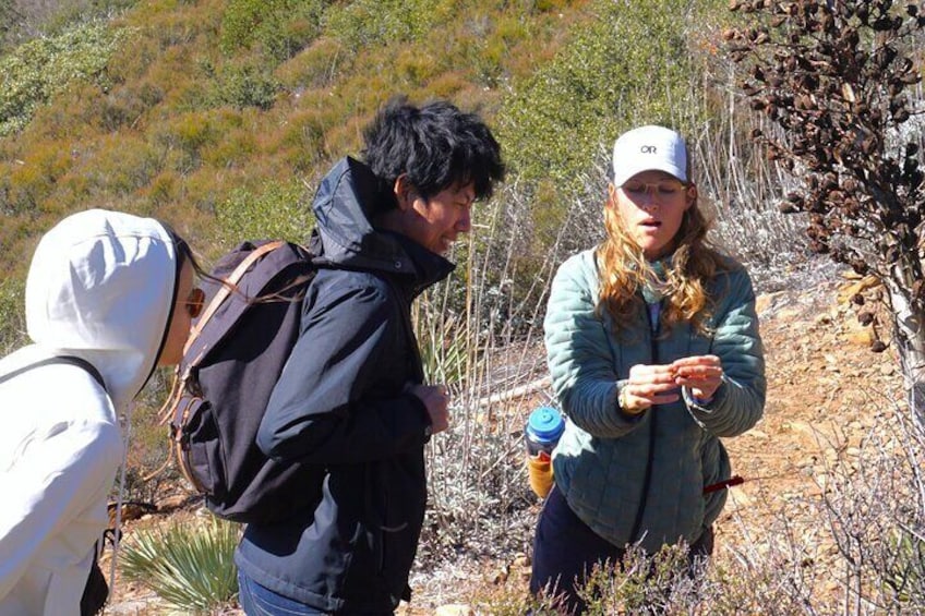 Explore the connections between people, plants, animals, and fungi in Southern California.