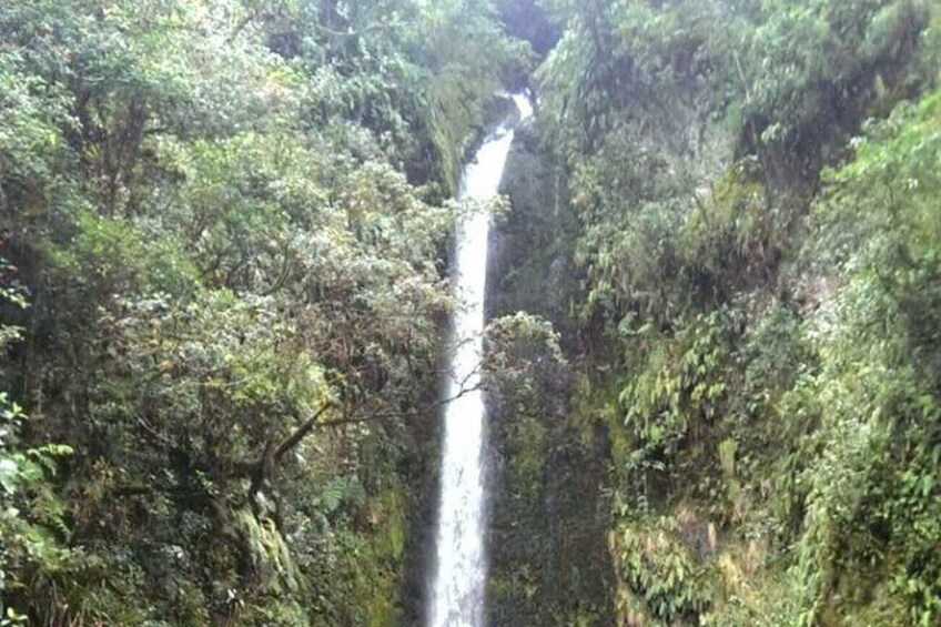 Private Experience at the Gate of the Colombian Massif