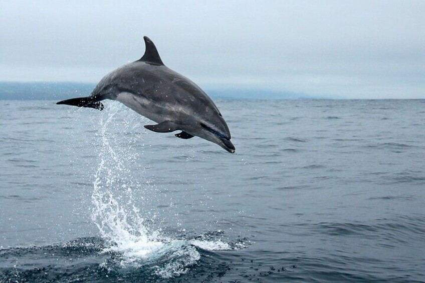 Jumping on the waves