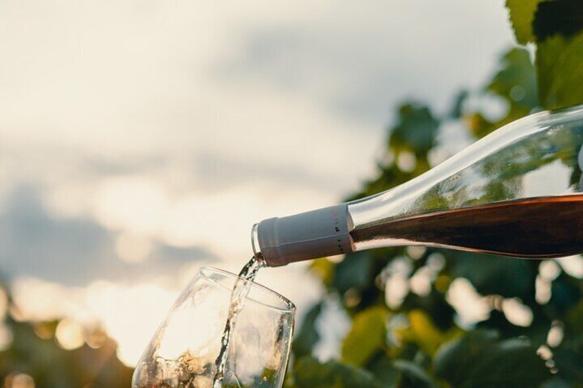 Morigine Wine Lovers-Aperitif in the Vineyard at Sunset