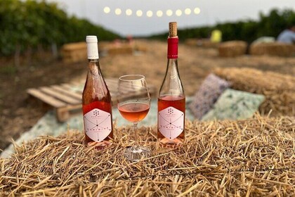 Morigine Wine Lovers-Aperitif in the Vineyard at Sunset