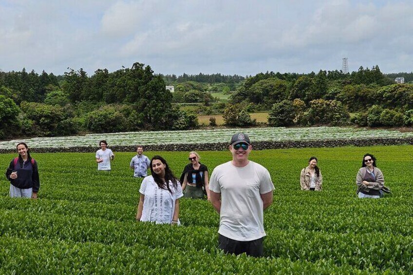 Private Tour in West Jeju Island with Transfer