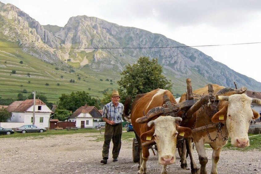 2 Days Hiking Adventure from Cluj