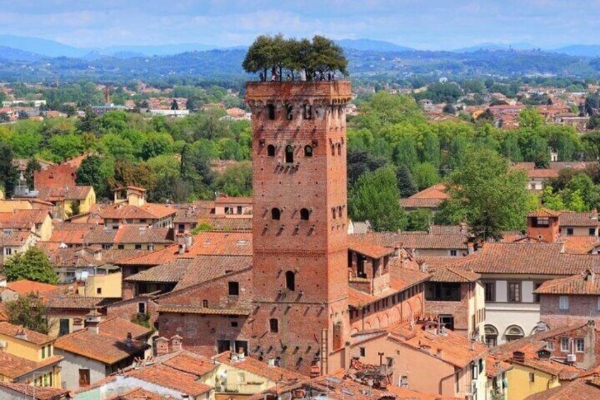 Torre Guinigi, Lucca