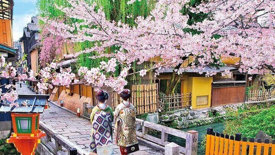 Geisha Streets & "Real Kyoto" Magical Night