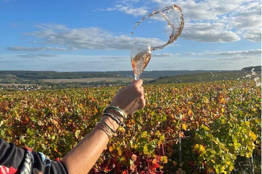 Private Sancerre Wine Tour with 10 Tastings and Lunch