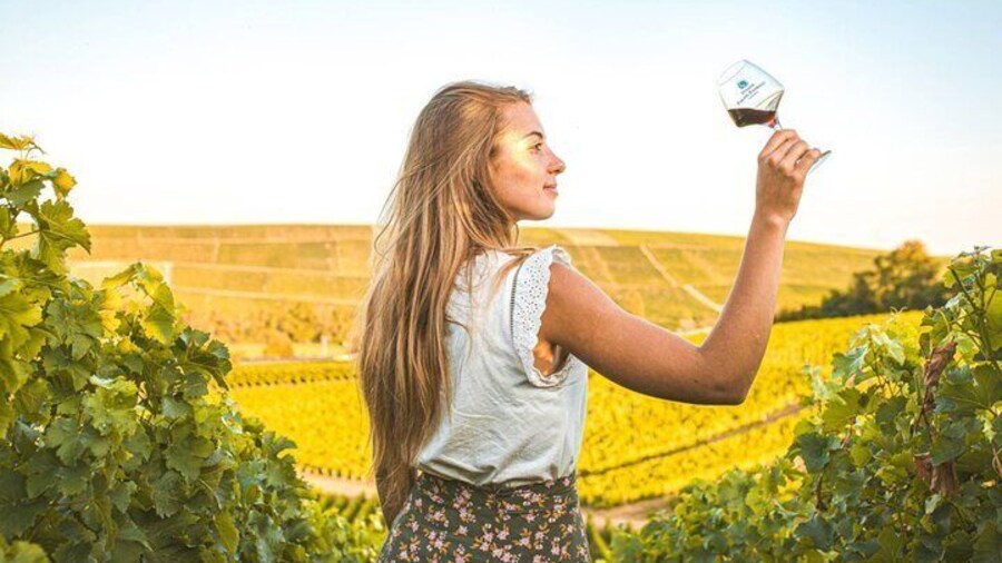 Sancerre Private Wine Tour with 10 Tastings and Lunch from Paris
