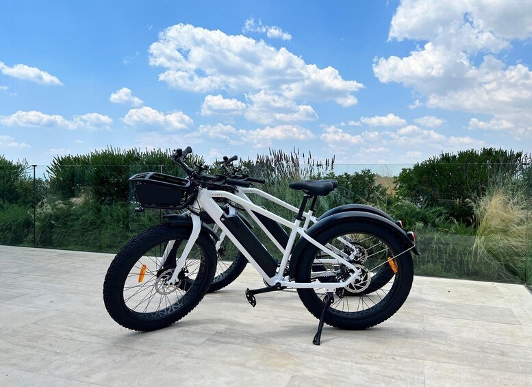 Picture 3 for Activity Katakolo: E-bike Rental