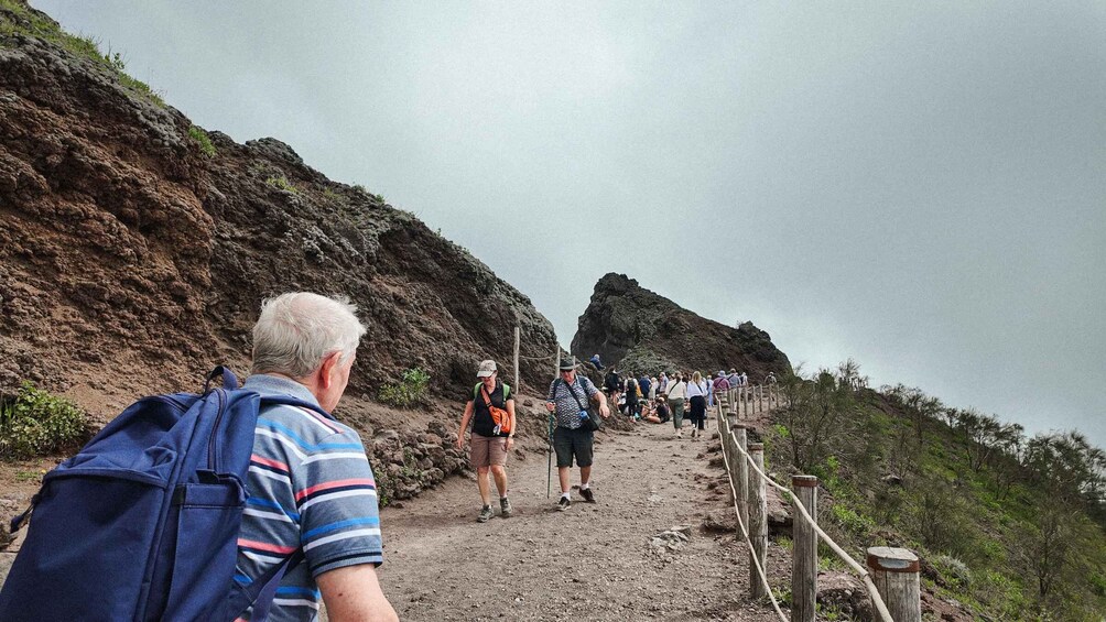 Picture 10 for Activity Mount Vesuvius from Naples: Bus, Ticket and Audio Guide