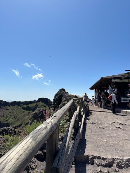 Picture 6 for Activity Mount Vesuvius from Naples: Bus, Ticket and Audio Guide