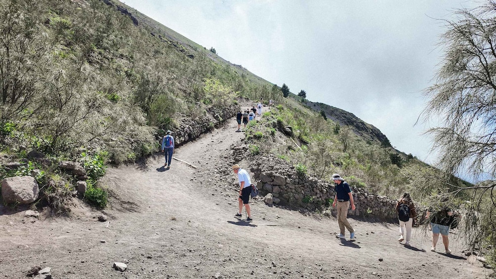 Picture 9 for Activity Mount Vesuvius from Naples: Bus, Ticket and Audio Guide
