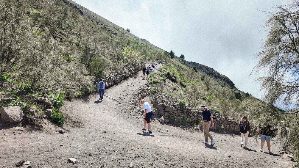 Picture 9 for Activity Mount Vesuvius from Naples: Bus, Ticket and Audio Guide