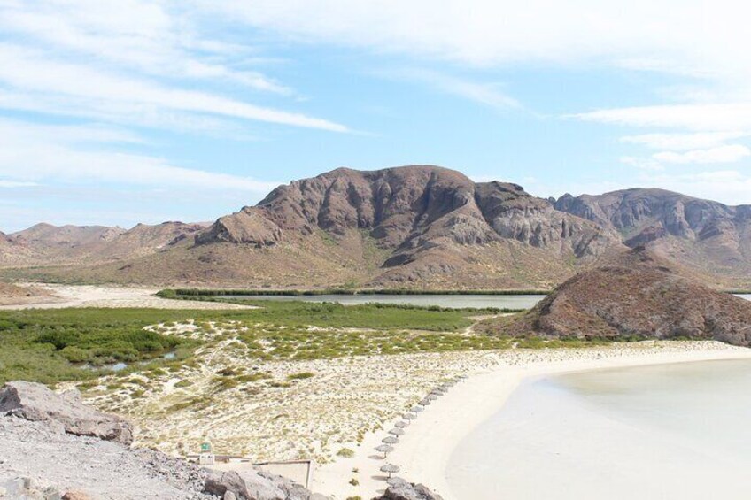 Explore La Paz and Paradise Beaches: Balandra and El Tecolote