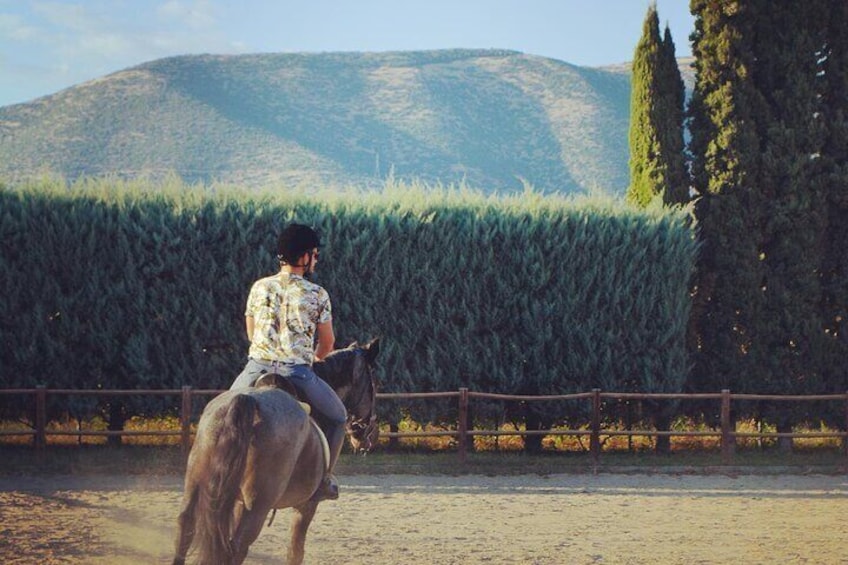 Horse Riding at Equestrian Club of Kavala