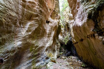 From Paphos: Akamas Peninsula National Park Day Trip