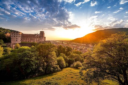 Heidelberg: recorrido privado por el castillo de Heidelberg