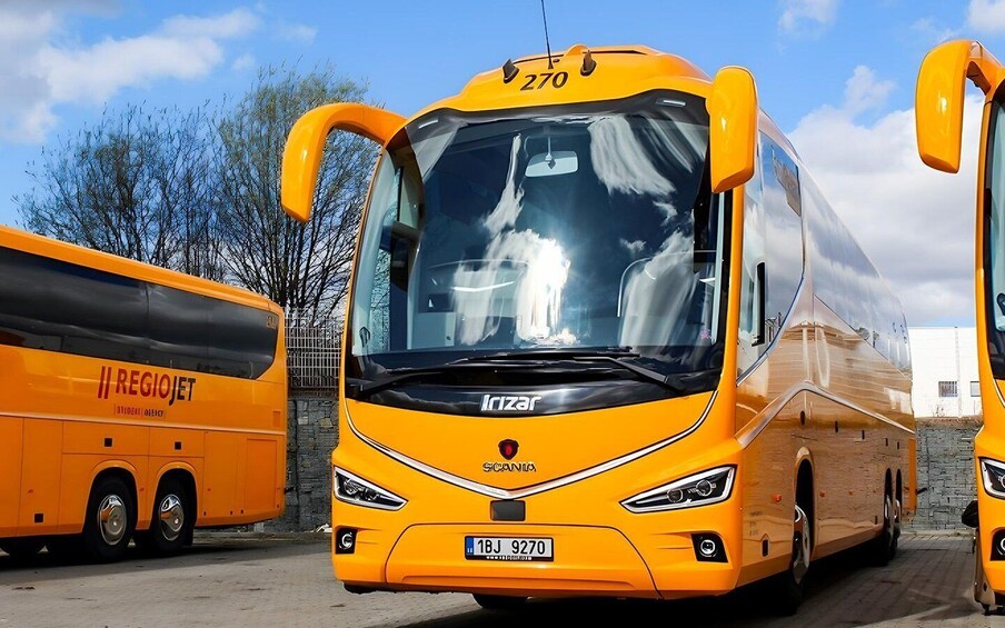 Prague: Bus transfer to/from Cesky Krumlov