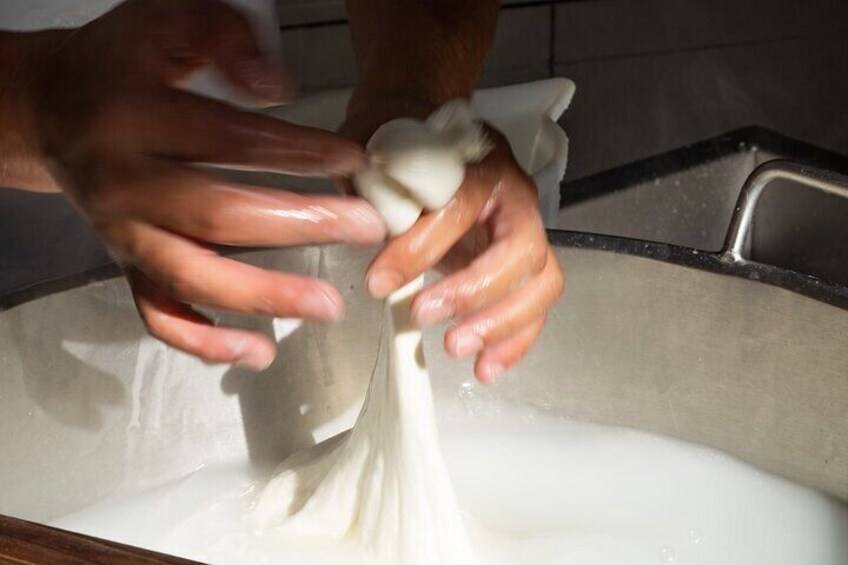 2 Hours Mozzarella Experience