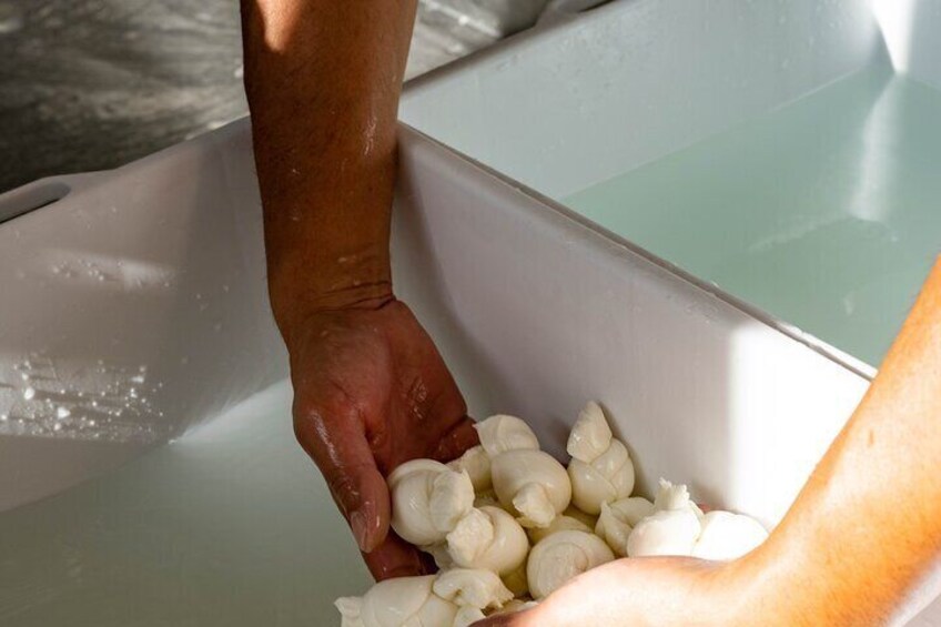 2 Hours Mozzarella Experience
