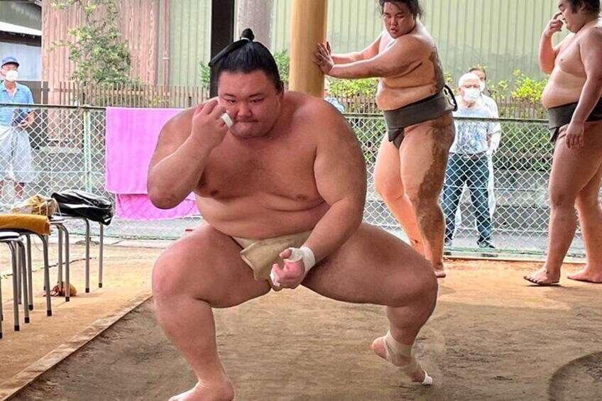 Skip the Line Ticket to Sumo Morning Practice at Nagoya