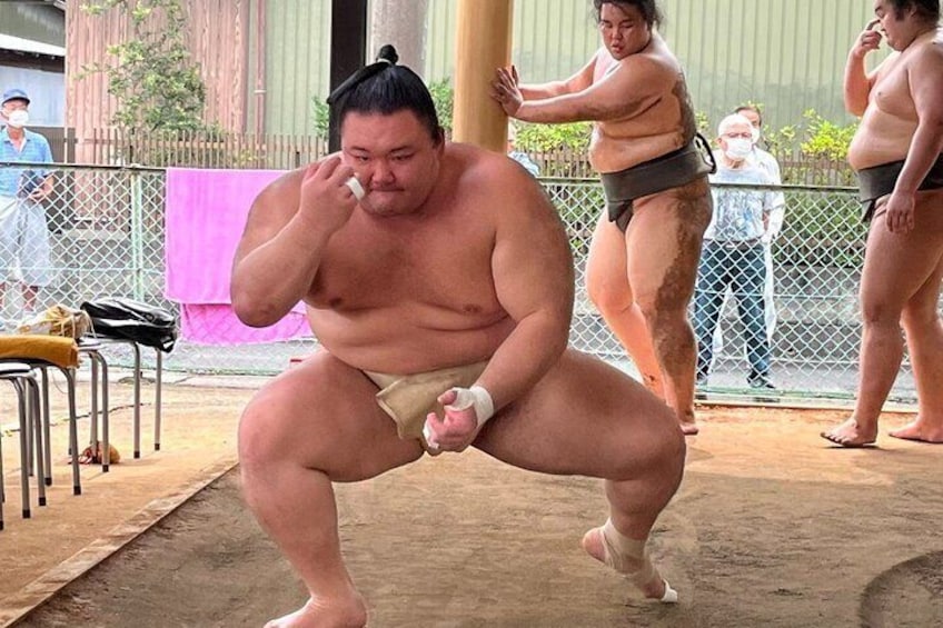 Skip the Line Ticket to Sumo Morning Practice at Nagoya