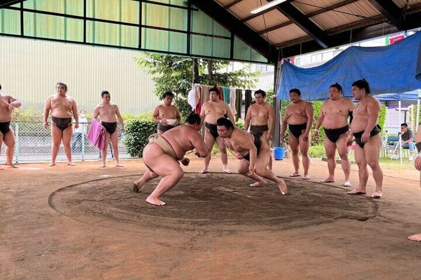 Skip the Line Ticket to Sumo Morning Practice at Nagoya