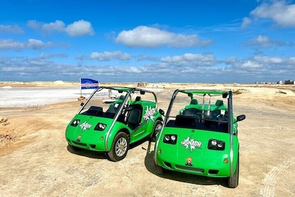 Private Guided Tour Sal Island Electric Car with Audio Guide