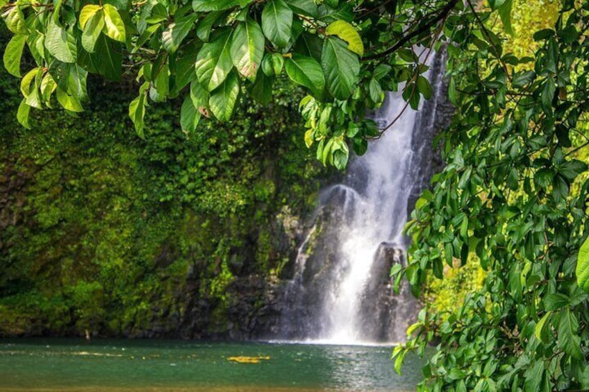 Visit to the Ureka Waterfalls from Malabo