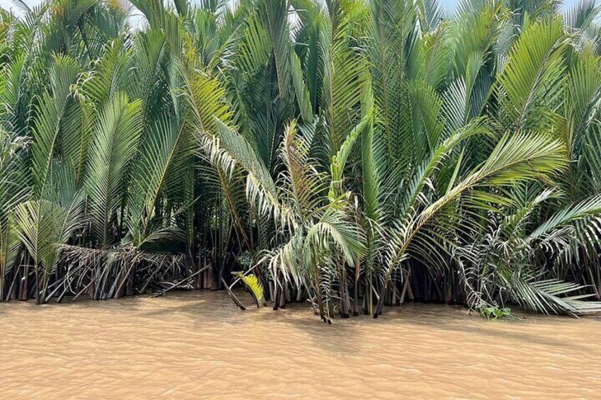 Mekong Delta 