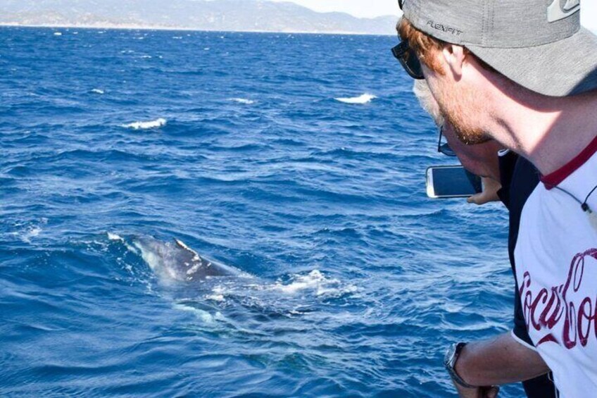 Customer watching Humpback Whale