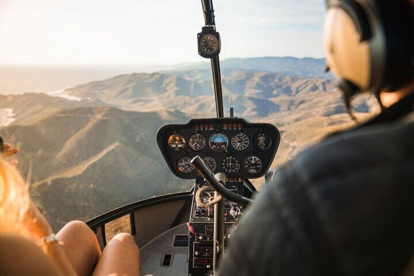 Co-pilot views