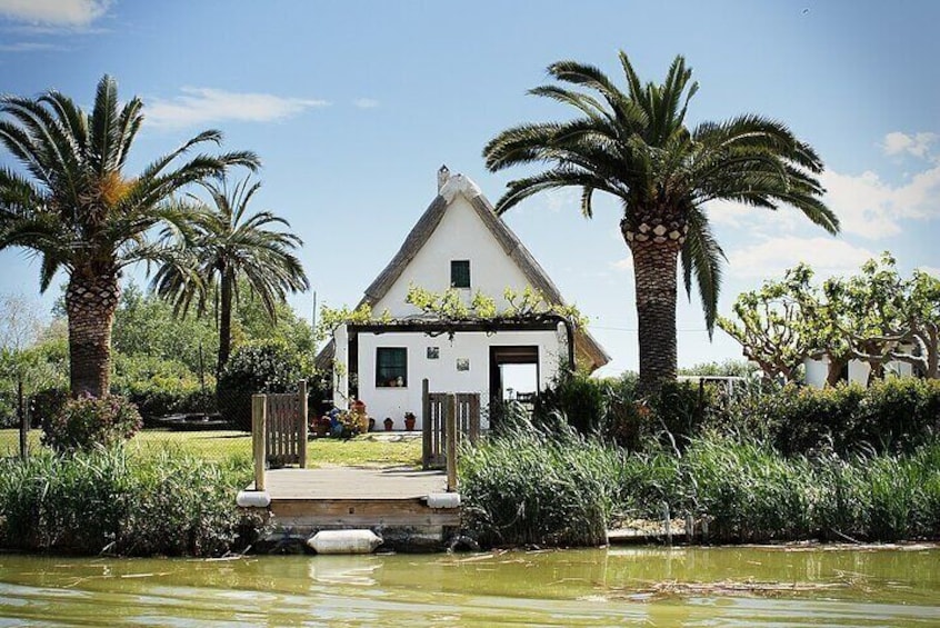 Albufera Natural Park with a Boat Tour from Valencia