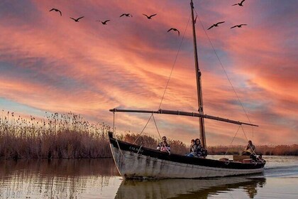 Parque Natural de la Albufera con paseo en barco desde Valencia