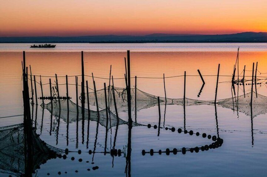 Albufera Natural Park with a Boat Tour from Valencia