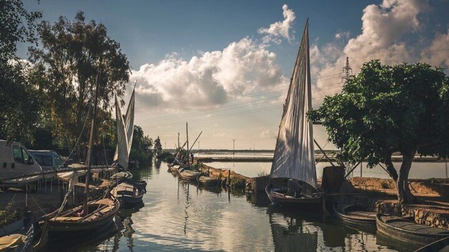 Albufera Natural Park with a Boat Tour from Valencia