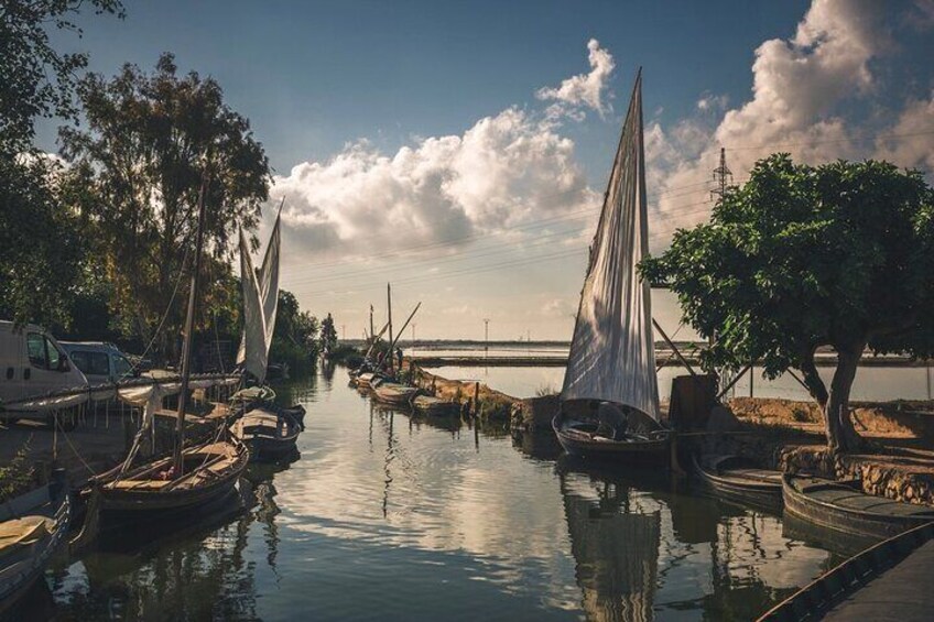 Albufera Natural Park with a Boat Tour from Valencia