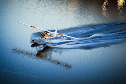 San Francisco 1-Hour Seaplane Tour with Shuttle Transport