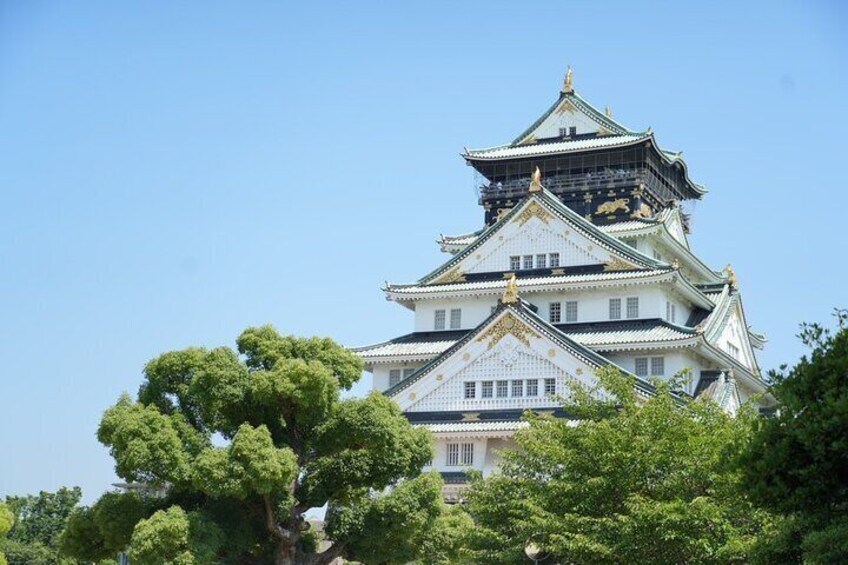 Osaka Top Highlights with English Speaking Guide 