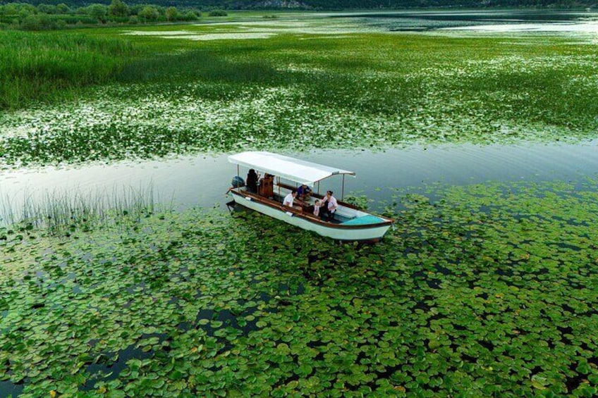 2 Hours Guided - Private Nature Tour (taste local wine on tour)