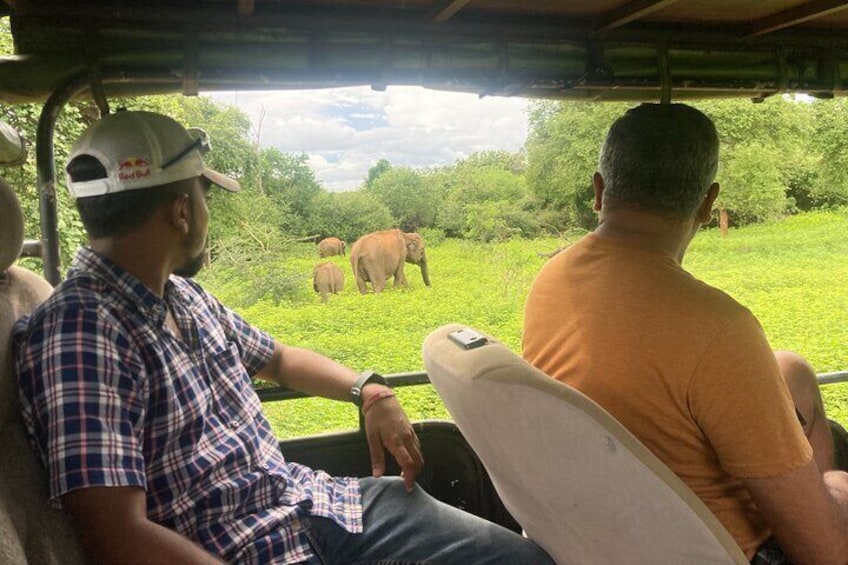 Yala national park jeep safari