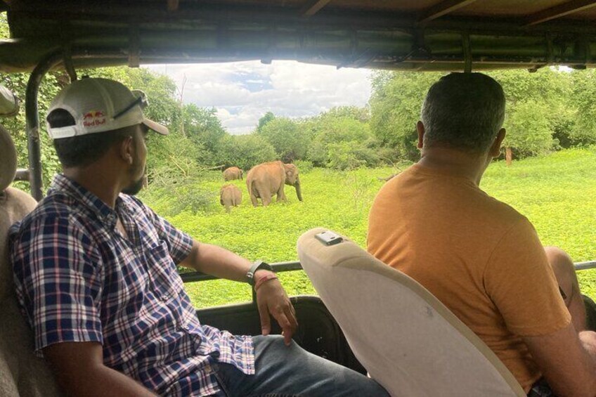 Yala national park jeep safari