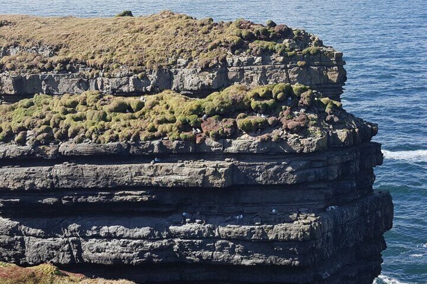 Private Day Tour of the Cliffs of Moher and the Burren from Cork