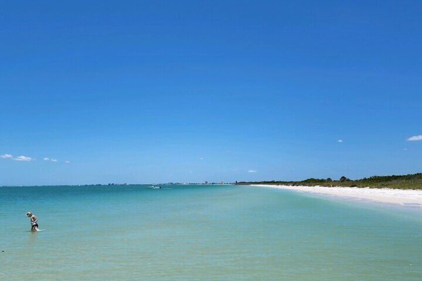 Explore the pristine waters of Shell Key!